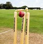 Image result for Wood Cricket