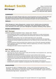 Image result for BDC Agent Manager Resume Sample