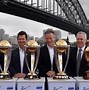 Image result for Cricket World Cup Wins