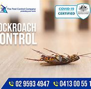 Image result for Cockroach Pest Control