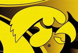 Image result for Hawkeye Football Games