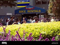 Image result for 45 Sausalito - San Francisco Pier 41, San Francisco, CA 94133 United States