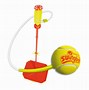Image result for Science around the Swingball Game