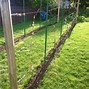 Image result for How to Put Dead Man Post in Ground Grape Vine