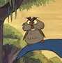 Image result for Sleeping Beauty Owl