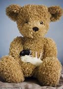 Image result for Rat with Teddy Bear