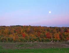 Image result for Summer Moon Rising New England Photos