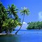 Image result for Beautiful Island 16K