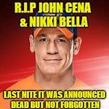 Image result for John Cena Nikki Bella Memes