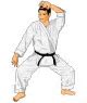 Image result for Martial Arts Injury