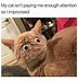 Image result for What Do Cats Think of People Meme
