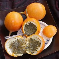 Image result for Passion Fruit Plant