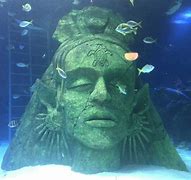 Image result for Sea Life Southend