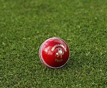 Image result for AUS V NZ Cricket World Cup