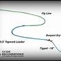Image result for Fly Fishing Nymph Rigs