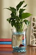 Image result for Sharp Air Purifier Water Tank
