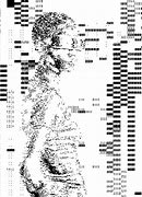 Image result for Glitch Art Photoshop