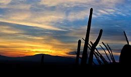 Image result for Tucson Winter