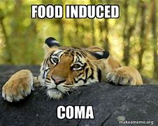 Image result for Funny Food Coma Meme