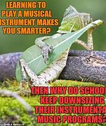 Image result for Music Instrument Meme