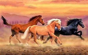 Image result for Microsoft Wallpapers of Wild Horses in Utah