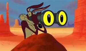 Image result for Wiley Coyote TNT