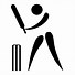 Image result for Cricket Word Design PNG