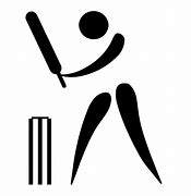 Image result for Cricket Sets for Adults