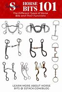 Image result for Roman Horse Bits