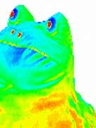 Image result for Frog Dank MLG Memes
