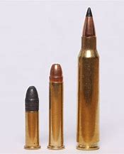 Image result for 22 Magnum vs 223