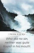Image result for 1 Peter 2:22
