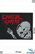 Image result for Cannibal Corpse Back Patch