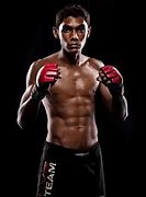 Image result for MMA Boxer