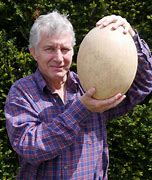 Image result for World's Largest Egg