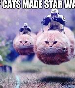 Image result for Cutest Star Wars Animal Meme