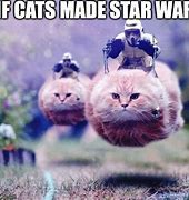 Image result for Cat Star Wars Walker Meme