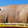 Image result for Biggest Potato in the History