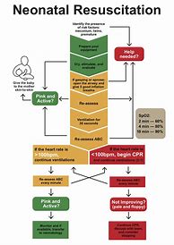 Image result for Neonatal Resuscitation Chart