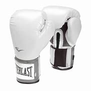 Image result for Everlast 10 oz Boxing Gloves