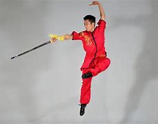 Image result for Modern Chinese Martial Arts