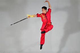 Image result for Wushu Sport
