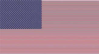 Image result for USA Iran Flag