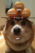 Image result for Boyfriend Dog Meme