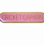 Image result for Cricket Sign