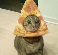Image result for Cat Eating Pizza Meme
