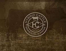 Image result for FC Cattle Brand