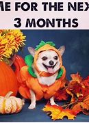 Image result for Special Pumpkin Meme