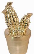 Image result for Cactus Decor