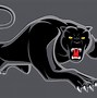 Image result for Penrith Panthers Logo